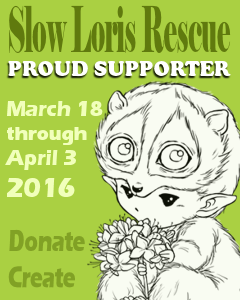 Friends of AuroraWings Supporting Slow Loris Rescue