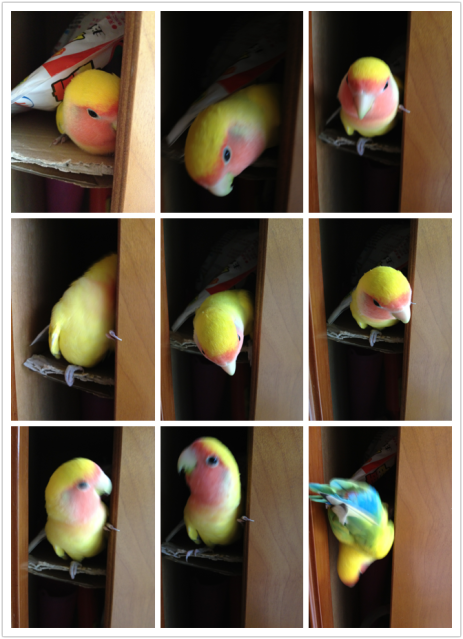 Photobucket