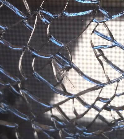 cracked glass w blue highlights two ... Shift+R improves the quality of this image. Shift+A improves the quality of all images on this page.