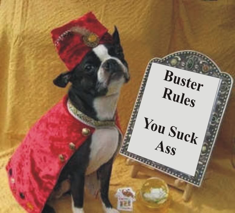 buster_rules.jpg