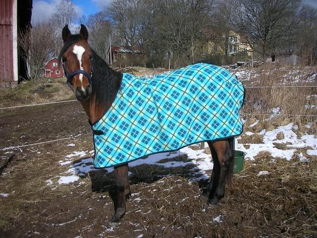 Fleece.jpg