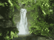 3d_animated_forest_waterfall_215.gif