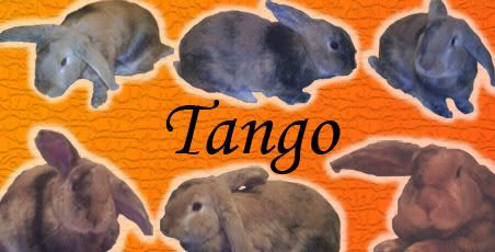 tango_sig.jpg
