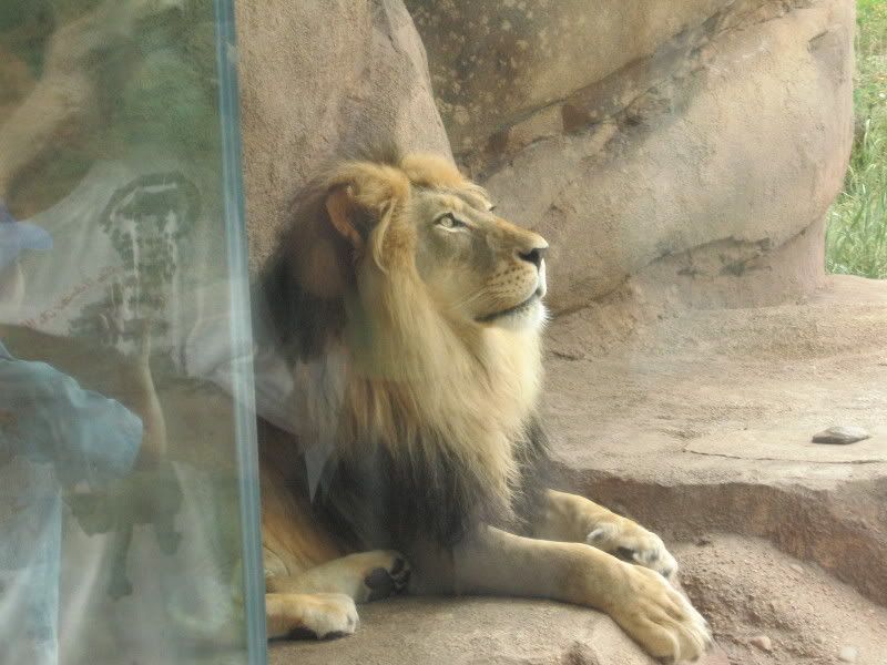 Photo Sharing and Video Hosting at Photobucket