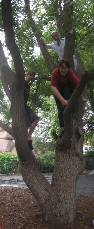 Photo Sharing and Video Hosting at Photobucket