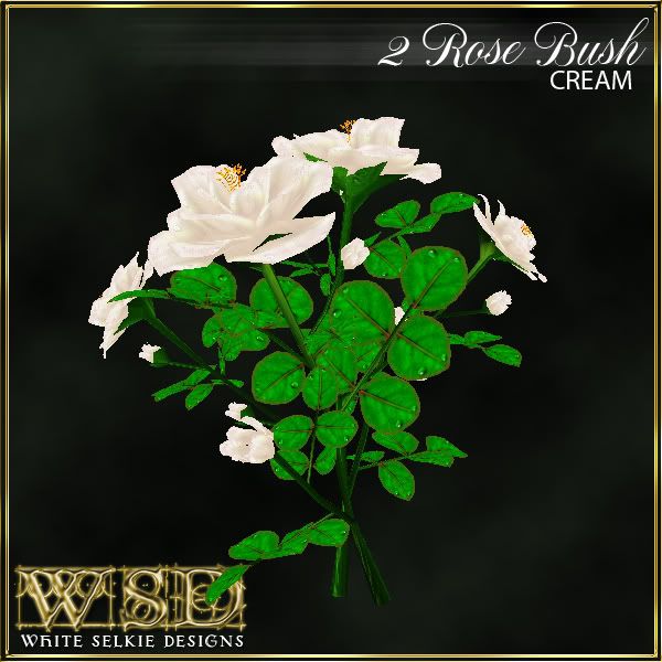 2 Rose Bush Cream