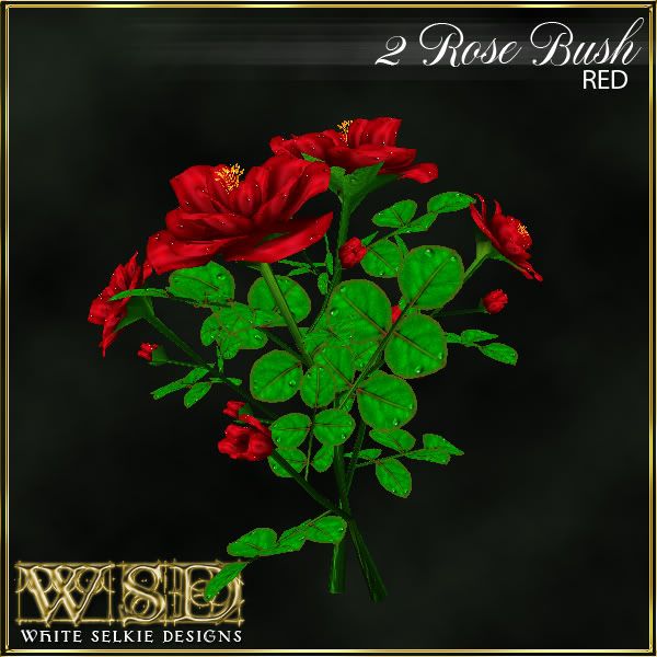 2 Rose Bush Red