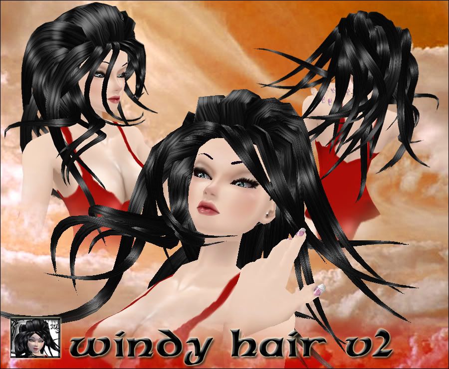 windy  hair v2