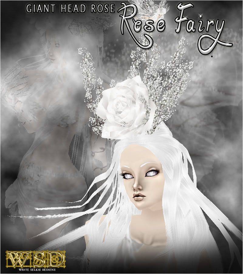Giant Head Rose White