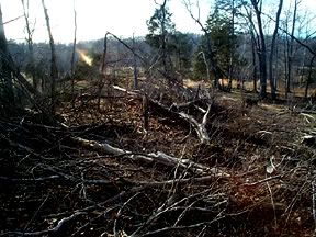 Pictures around your Homestead - Homesteading Questions