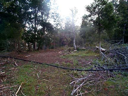 Pictures around your Homestead - Homesteading Questions