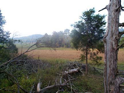 Pictures around your Homestead - Homesteading Questions