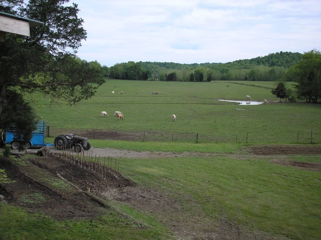 Pictures around your Homestead - Homesteading Questions