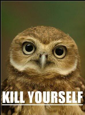 kill_yourself.jpg