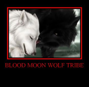 Bild zu Blood Moon