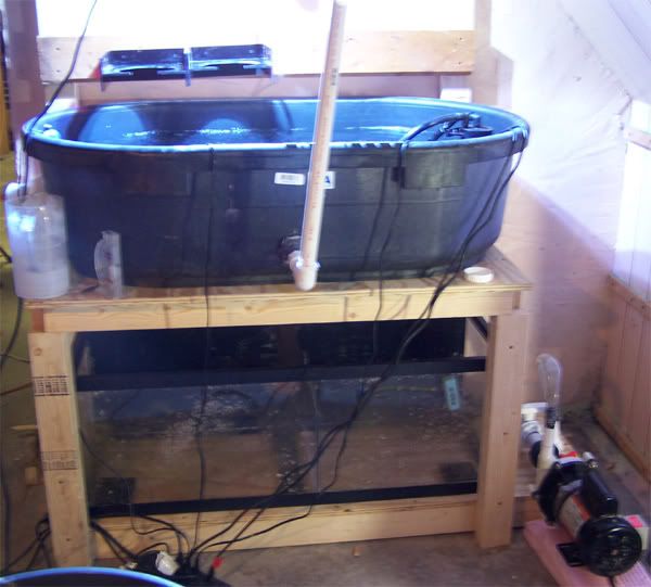rubbermaid stock tank for sump Greater Iowa Reef Society