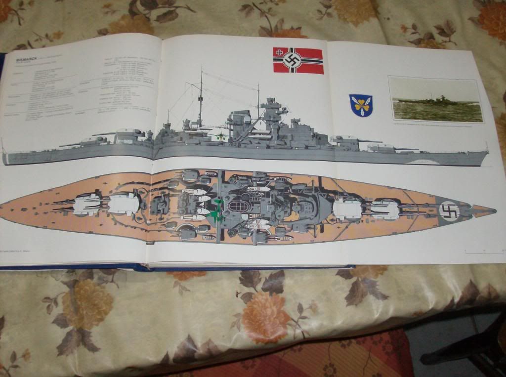 Bismarck camouflage - Naval History Forums