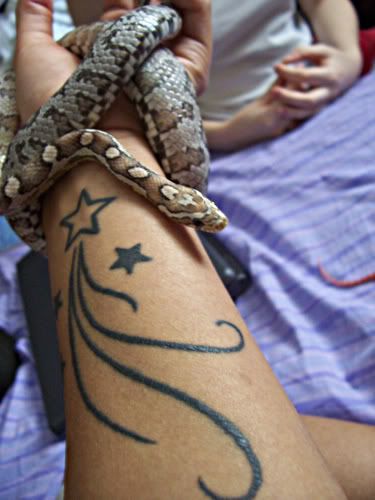 snake158.jpg