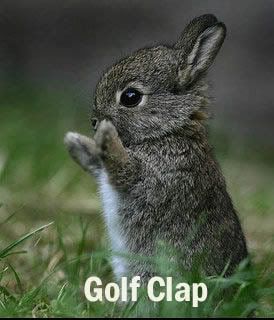 image: golfclap