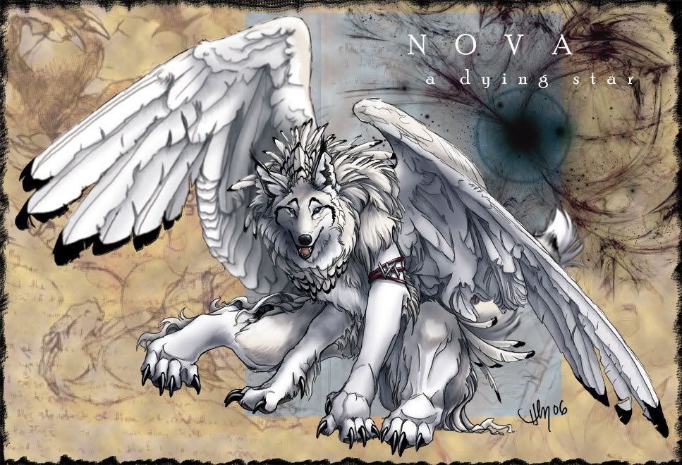 http://i163.photobucket.com/albums/t301/DuckyMonroy/Winged_Nova_Character_Sheet_by_Nova.jpg