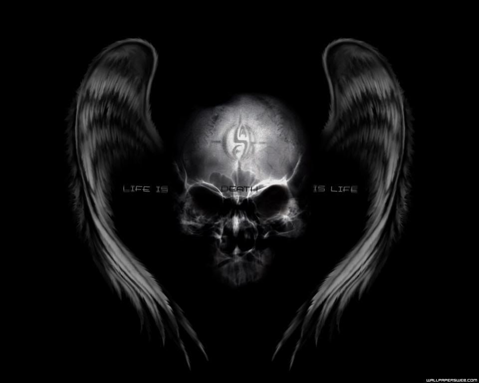 Winged Skull Pictures, Images and Photos