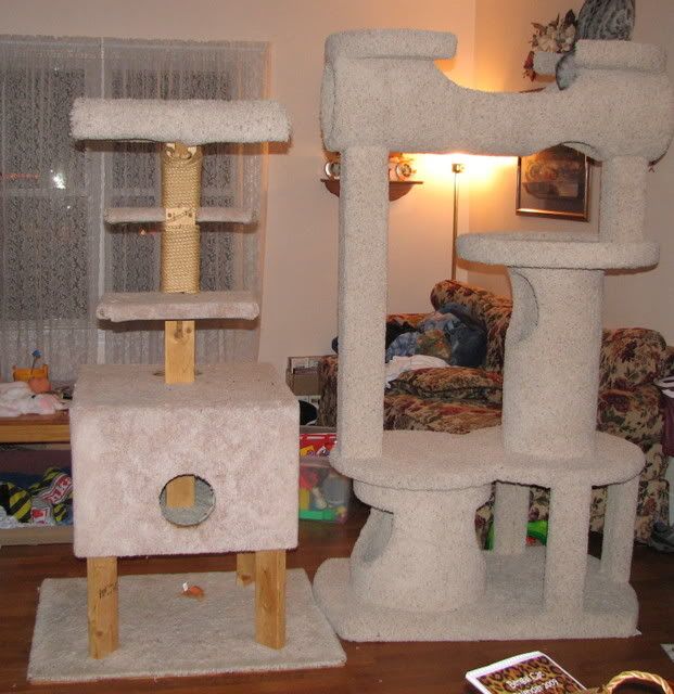 Cat Tree Plans