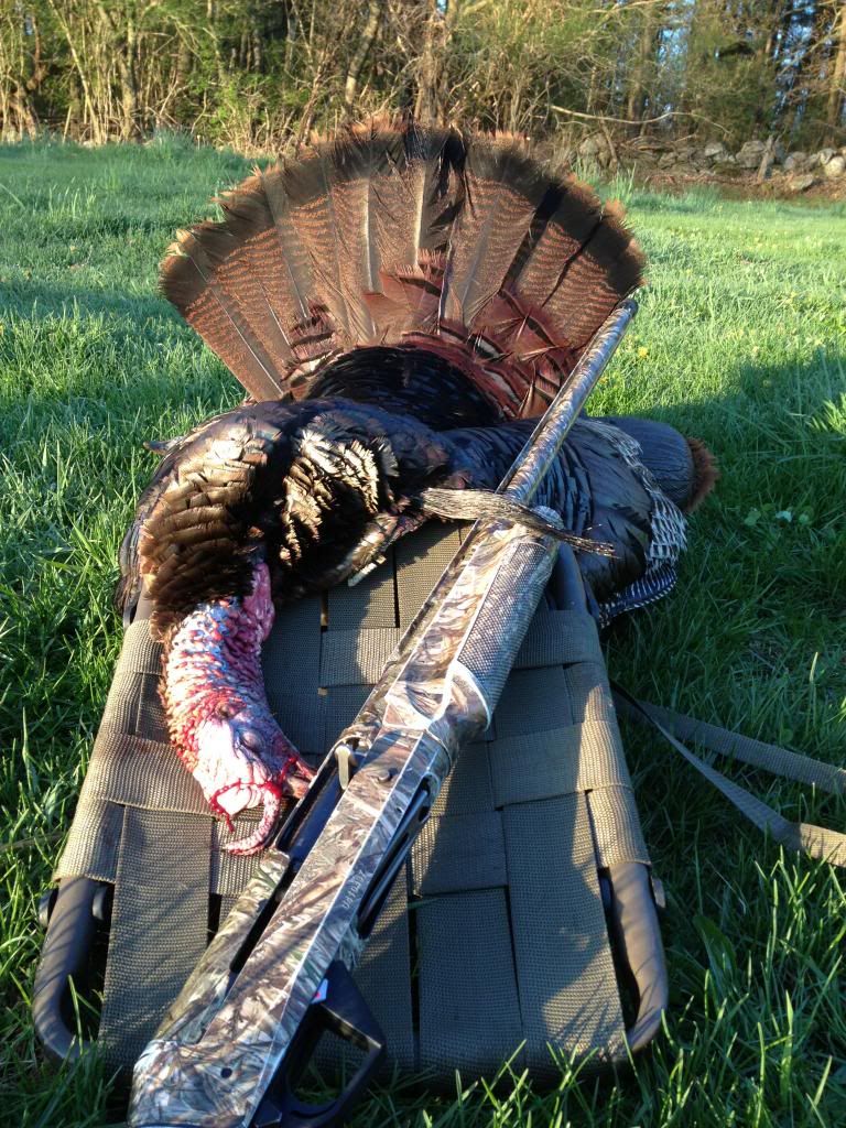 duckhuntingchat.com duckhuntingchat.com