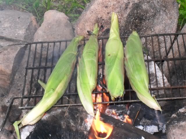 Grilled Corn Pictures, Images and Photos