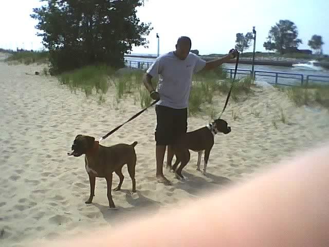 Chris &amp; the dogs Grand Haven 7-27-08