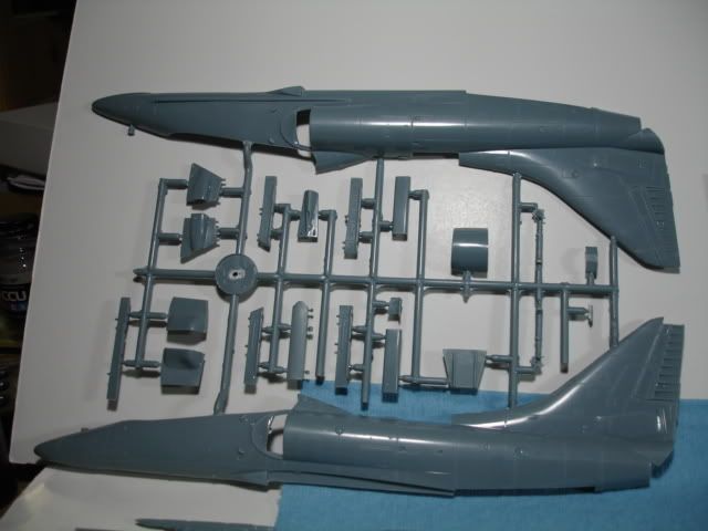 June08019.jpg