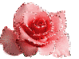 rose.gif rose image by Twisted-Carole