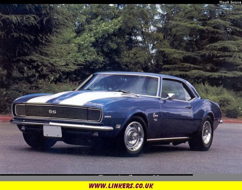 muscle car muscle car