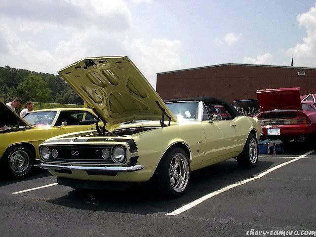 muscle car muscle car