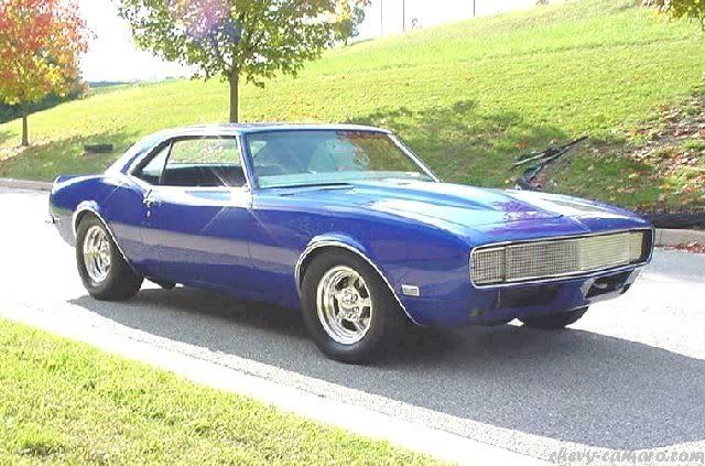 muscle car muscle car