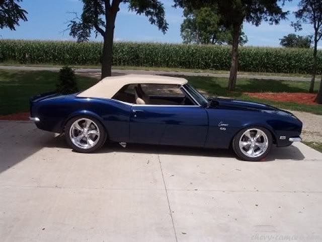 Muscle Cars (Chevrolet Camaro) 99 fotos Muscle Cars (Chevrolet Camaro) 99 fotos