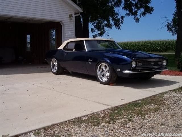 muscle car muscle car