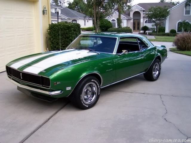 muscle car muscle car