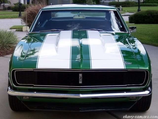 Muscle Cars (Chevrolet Camaro) 99 fotos Muscle Cars (Chevrolet Camaro) 99 fotos