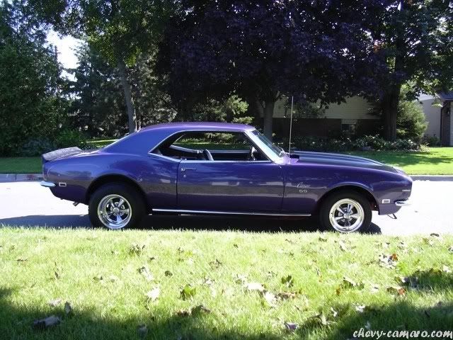Muscle Cars (Chevrolet Camaro) 99 fotos Muscle Cars (Chevrolet Camaro) 99 fotos