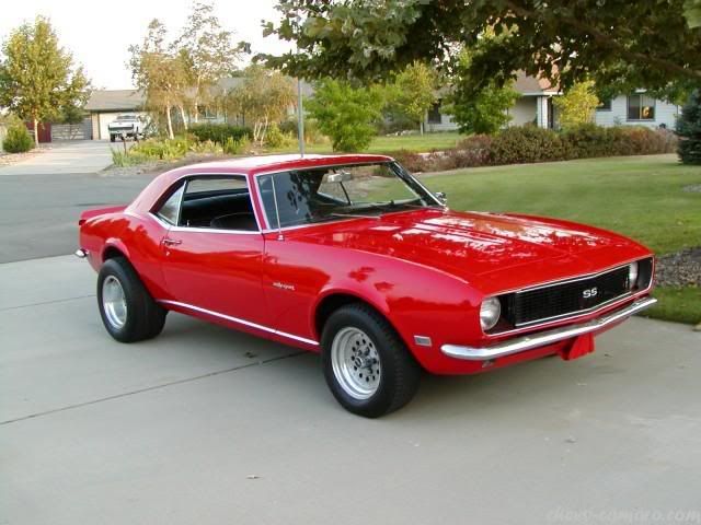 Muscle Cars (Chevrolet Camaro) 99 fotos Muscle Cars (Chevrolet Camaro) 99 fotos
