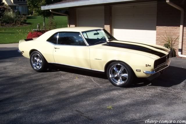 muscle car muscle car