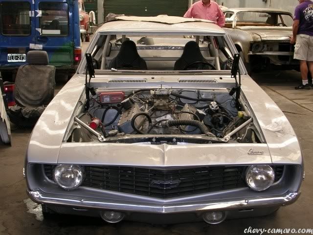 muscle car muscle car