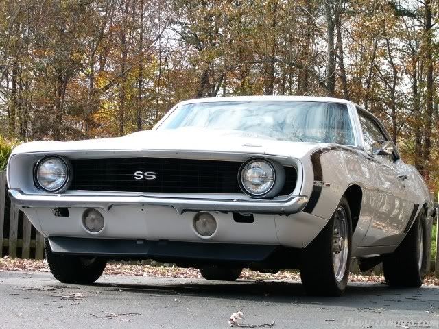 muscle car muscle car