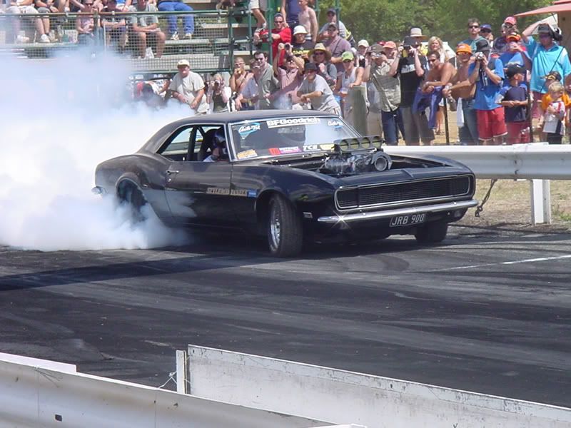 muscle car muscle car