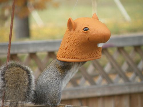 a squirrel eating from the squirrel-head-shaped squirrel feeder