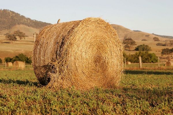 image of a large bale of hay in a field