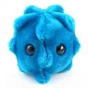 plush cold germ from Giant Microbes