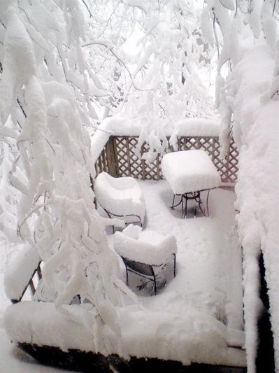 A snow-covered wooden deck with table and chairs, and a tree heavy with snow