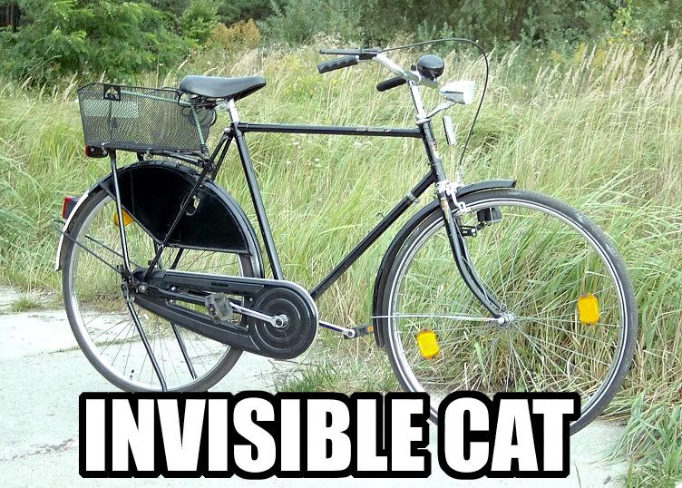 invisiblecat.jpg