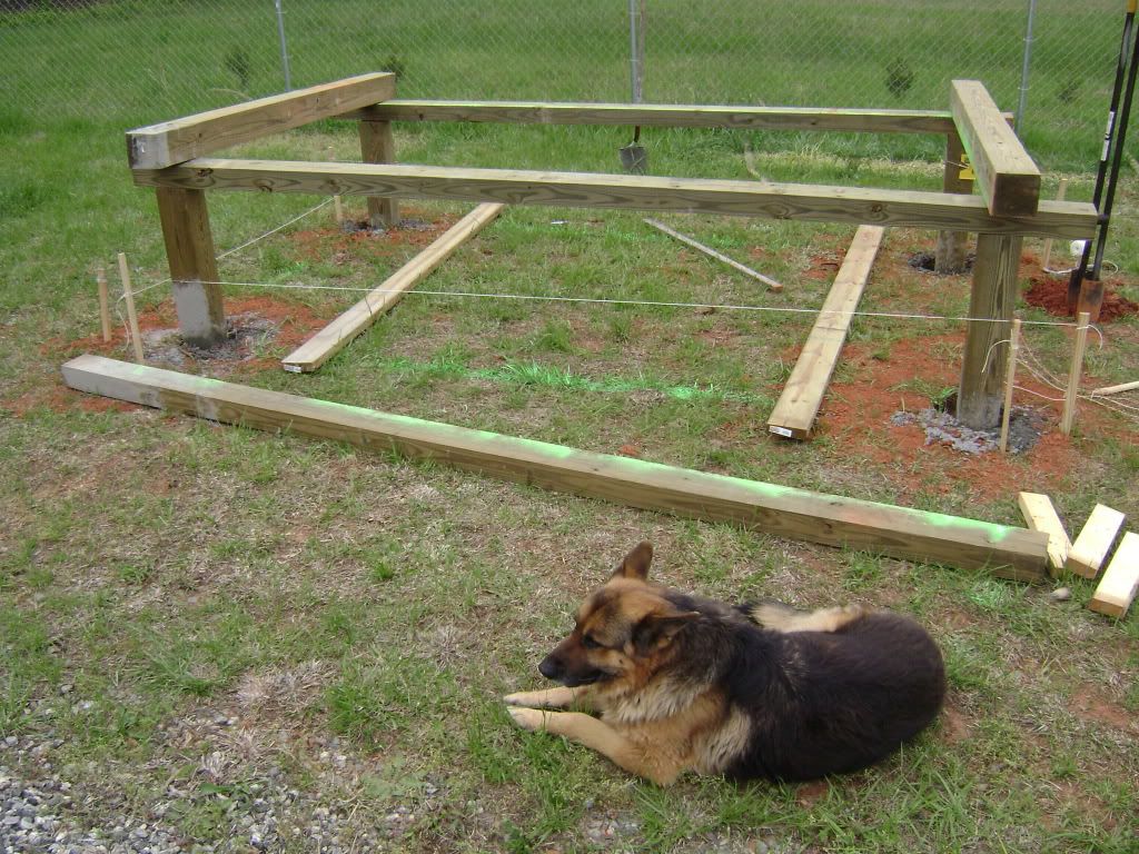 The foundation posts of the chicken coop